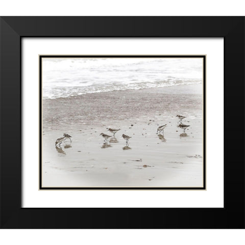 Sandpipers Black Modern Wood Framed Art Print with Double Matting by Ryan, Brooke T.