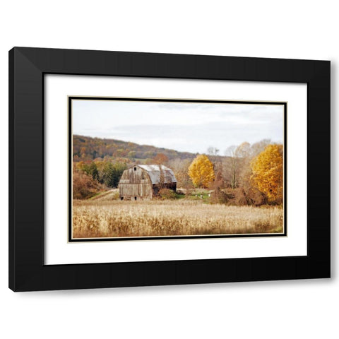 Barn And Beehives Black Modern Wood Framed Art Print with Double Matting by Ryan, Brooke T.