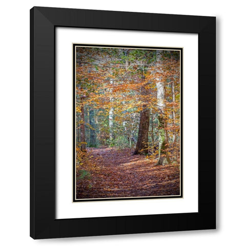 Rust Fall Forest Black Modern Wood Framed Art Print with Double Matting by Ryan, Brooke T.
