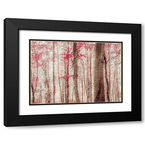 Pink And Brown Fantasy Forest Black Modern Wood Framed Art Print with Double Matting by Ryan, Brooke T.