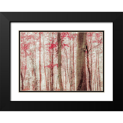 Pink And Brown Fantasy Forest Black Modern Wood Framed Art Print with Double Matting by Ryan, Brooke T.