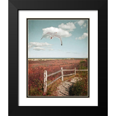 Gull over Coastal Trail Black Modern Wood Framed Art Print with Double Matting by Ryan, Brooke T.