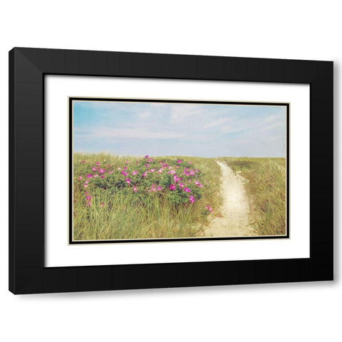 Beach Roses Black Modern Wood Framed Art Print with Double Matting by Ryan, Brooke T.