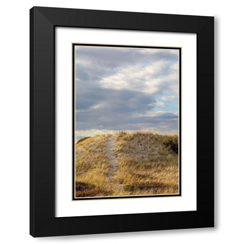 Dunes Trail Black Modern Wood Framed Art Print with Double Matting by Ryan, Brooke T.