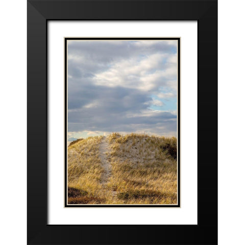 Dunes Trail Black Modern Wood Framed Art Print with Double Matting by Ryan, Brooke T.