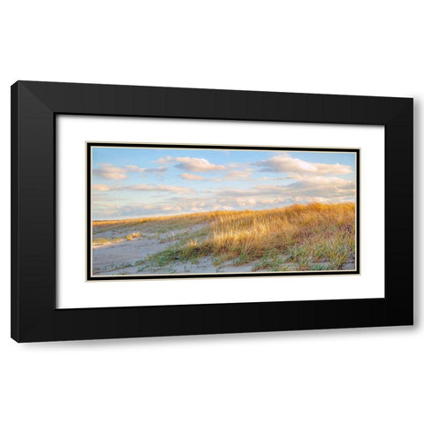 Grassy Dunes Panorama Black Modern Wood Framed Art Print with Double Matting by Ryan, Brooke T.