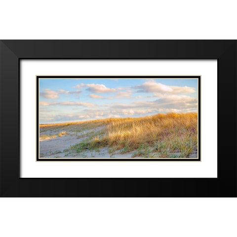 Grassy Dunes Panorama Black Modern Wood Framed Art Print with Double Matting by Ryan, Brooke T.