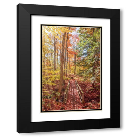 Forest Bridge Black Modern Wood Framed Art Print with Double Matting by Ryan, Brooke T.