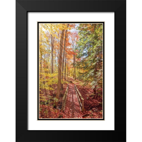 Forest Bridge Black Modern Wood Framed Art Print with Double Matting by Ryan, Brooke T.
