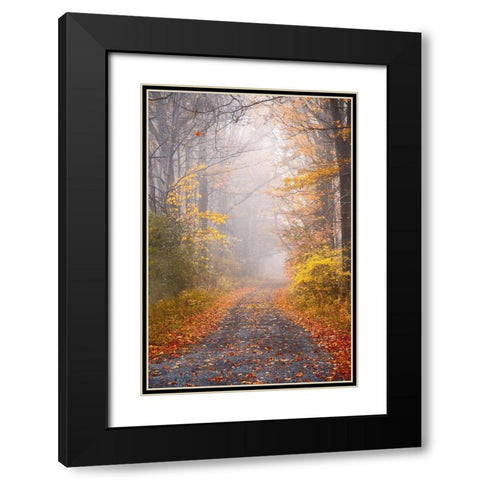 Road and Autumn Mist Black Modern Wood Framed Art Print with Double Matting by Ryan, Brooke T.