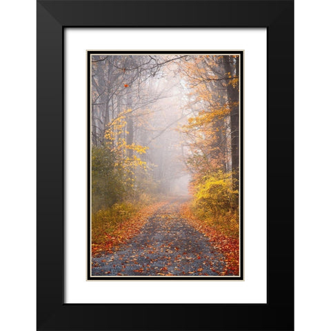 Road and Autumn Mist Black Modern Wood Framed Art Print with Double Matting by Ryan, Brooke T.