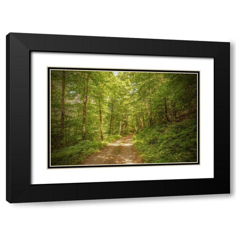 Forest Road Black Modern Wood Framed Art Print with Double Matting by Ryan, Brooke T.