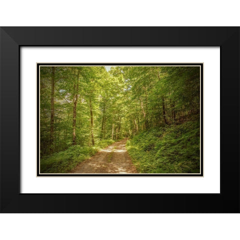 Forest Road Black Modern Wood Framed Art Print with Double Matting by Ryan, Brooke T.