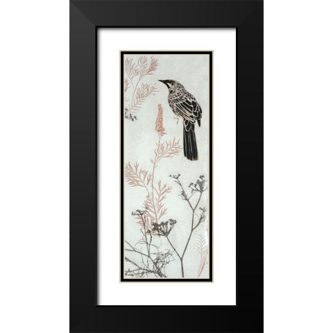 Wattlebird Hovering In My Garden Black Modern Wood Framed Art Print with Double Matting by Rice, Trudy