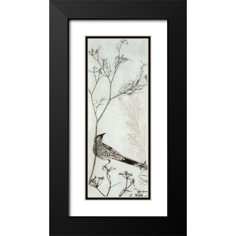 Wattlebird Resting on a Branch Black Modern Wood Framed Art Print with Double Matting by Rice, Trudy