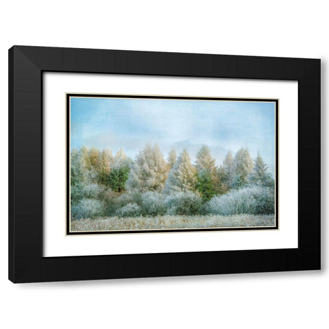 Winter Wonderland Black Modern Wood Framed Art Print with Double Matting by Ryan, Brooke T.