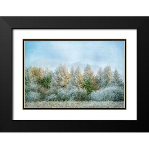 Winter Wonderland Black Modern Wood Framed Art Print with Double Matting by Ryan, Brooke T.