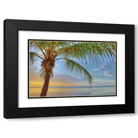 Key West Black Modern Wood Framed Art Print with Double Matting by Reed, Jack