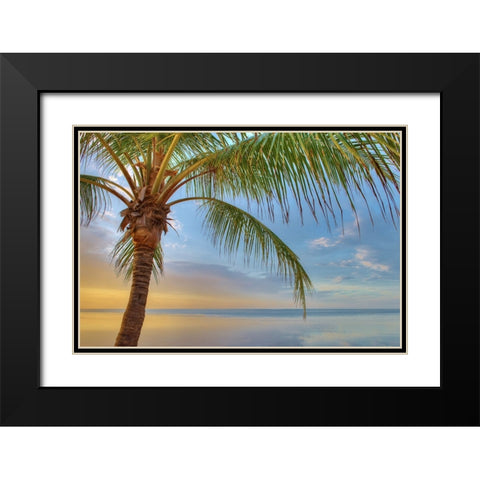 Key West Black Modern Wood Framed Art Print with Double Matting by Reed, Jack