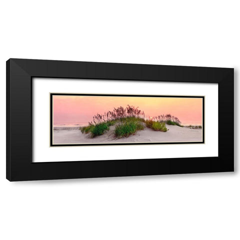 Sea Oats Sun Black Modern Wood Framed Art Print with Double Matting by Reed, Jack