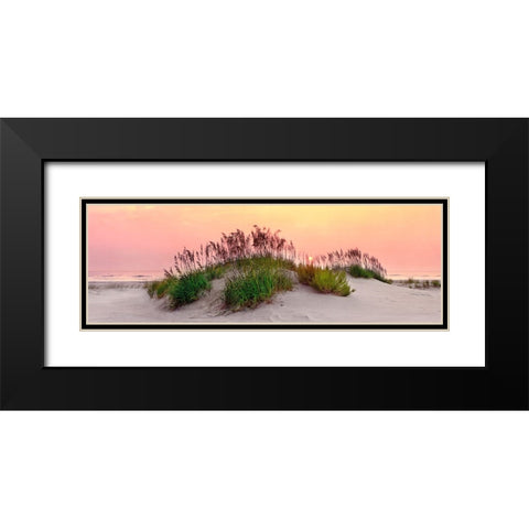 Sea Oats Sun Black Modern Wood Framed Art Print with Double Matting by Reed, Jack