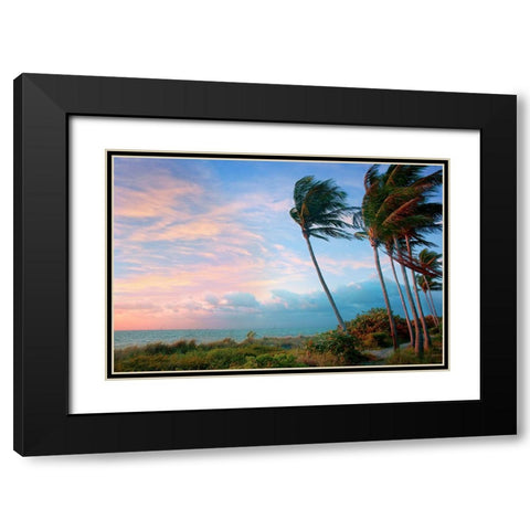 Seabreeze Black Modern Wood Framed Art Print with Double Matting by Reed, Jack