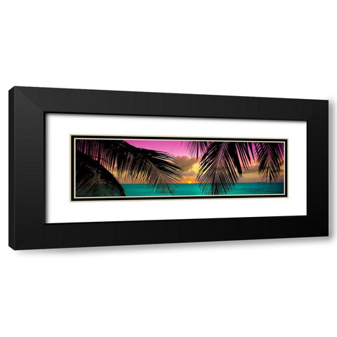 Sun Palms Black Modern Wood Framed Art Print with Double Matting by Reed, Jack