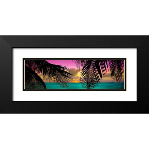 Sun Palms Black Modern Wood Framed Art Print with Double Matting by Reed, Jack