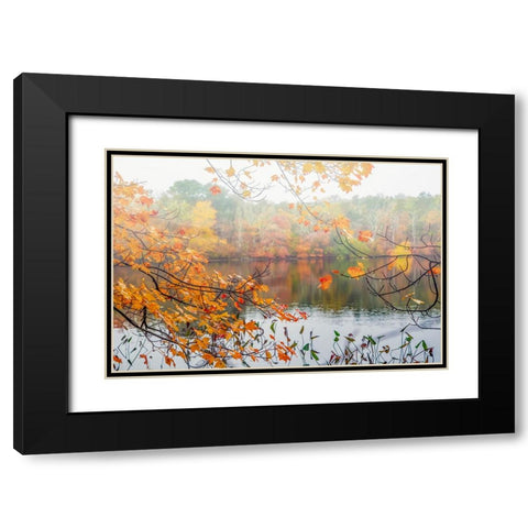 Autumn Pond Black Modern Wood Framed Art Print with Double Matting by Ryan, Brooke T.