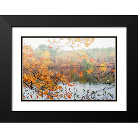 Autumn Pond Black Modern Wood Framed Art Print with Double Matting by Ryan, Brooke T.