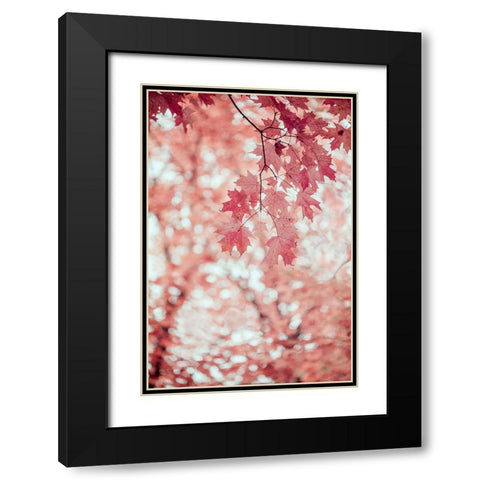 Pink and Coral Maple Leaves Black Modern Wood Framed Art Print with Double Matting by Ryan, Brooke T.