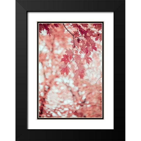 Pink and Coral Maple Leaves Black Modern Wood Framed Art Print with Double Matting by Ryan, Brooke T.