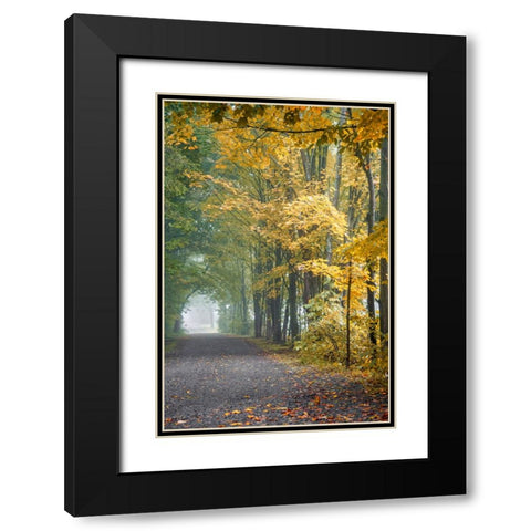 Tunnel Through Misty Forest Black Modern Wood Framed Art Print with Double Matting by Ryan, Brooke T.