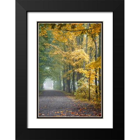 Tunnel Through Misty Forest Black Modern Wood Framed Art Print with Double Matting by Ryan, Brooke T.