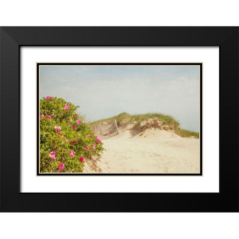 Rosa Rugosa Black Modern Wood Framed Art Print with Double Matting by Ryan, Brooke T.