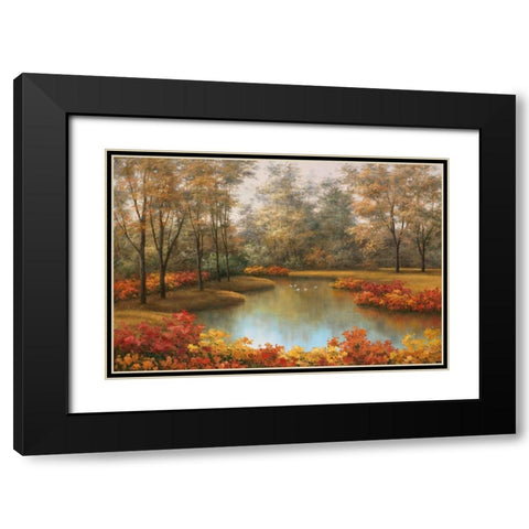 Beauty of Autumn Black Modern Wood Framed Art Print with Double Matting by Romanello, Diane