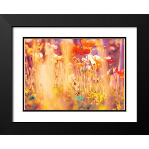 I Am Alice Black Modern Wood Framed Art Print with Double Matting by Soffia, Myan