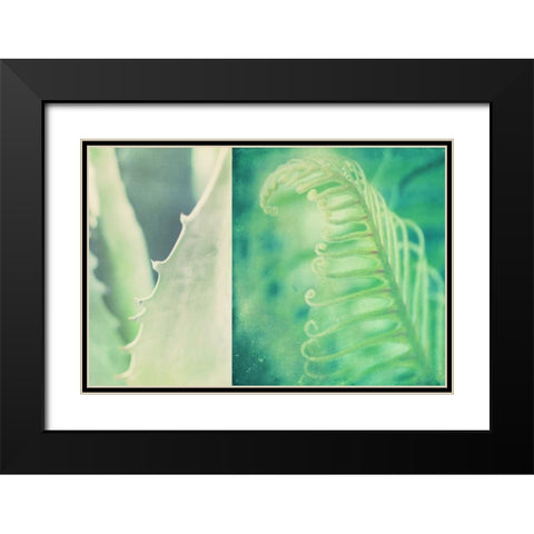 Mint Black Modern Wood Framed Art Print with Double Matting by Soffia, Myan