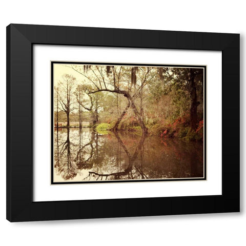 Deep South I Black Modern Wood Framed Art Print with Double Matting by Suchocki, Irene