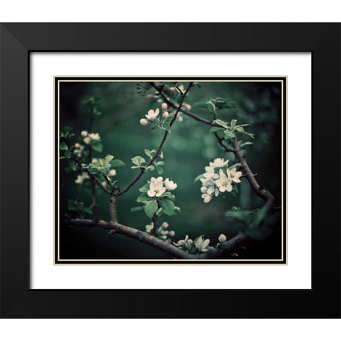 The Midnight Garden I Black Modern Wood Framed Art Print with Double Matting by Suchocki, Irene