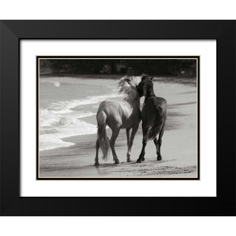Young Mustangs on Beach Black Modern Wood Framed Art Print with Double Matting by Scott, Traer