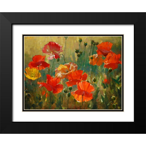 Poppy Fields Black Modern Wood Framed Art Print with Double Matting by Styles, Emma
