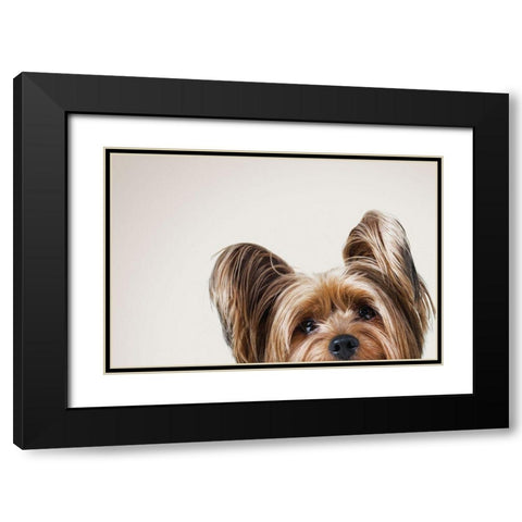 Jeri Black Modern Wood Framed Art Print with Double Matting by Sabo, Susan