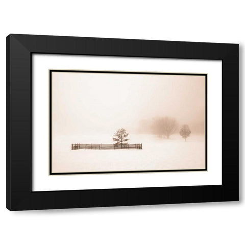 Isolated Black Modern Wood Framed Art Print with Double Matting by Svibilsky, Igor