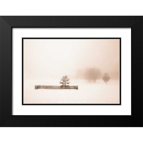 Isolated Black Modern Wood Framed Art Print with Double Matting by Svibilsky, Igor