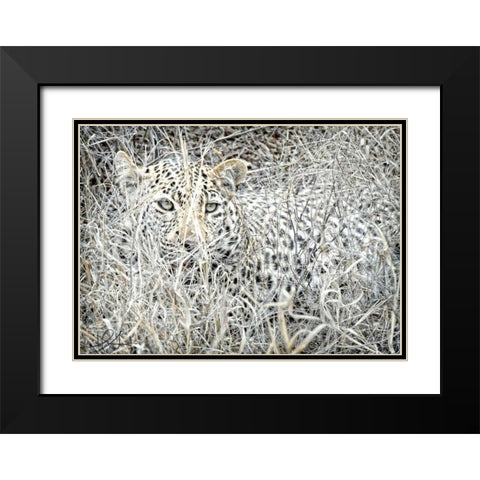 Leopard Black Modern Wood Framed Art Print with Double Matting by Sobol, Helene