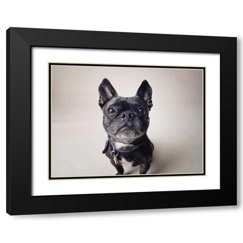 Bailey Black Modern Wood Framed Art Print with Double Matting by Sabo, Susan