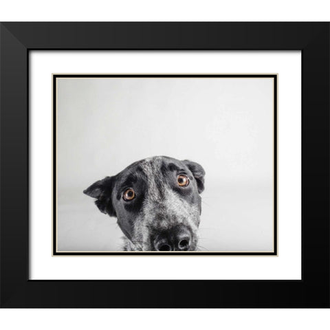 Blue Zuck Black Modern Wood Framed Art Print with Double Matting by Sabo, Susan