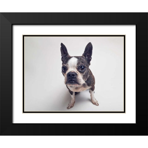 Norton Moses Black Modern Wood Framed Art Print with Double Matting by Sabo, Susan