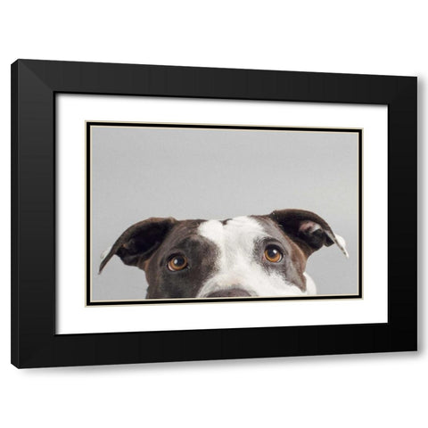 Ruby Black Modern Wood Framed Art Print with Double Matting by Sabo, Susan